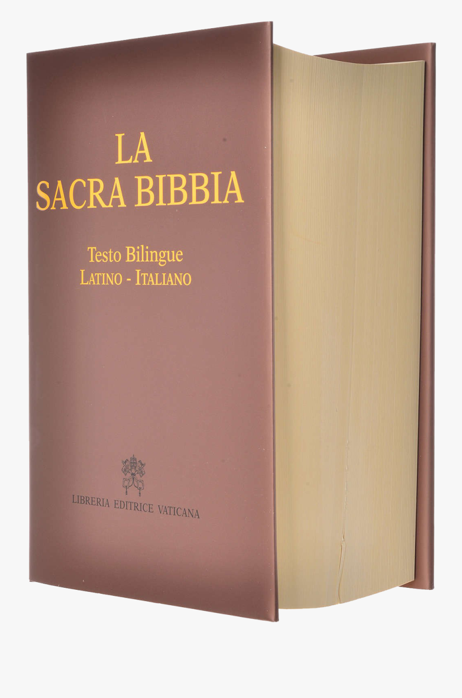 Holy Bible Png Image Download - Box, Transparent Clipart