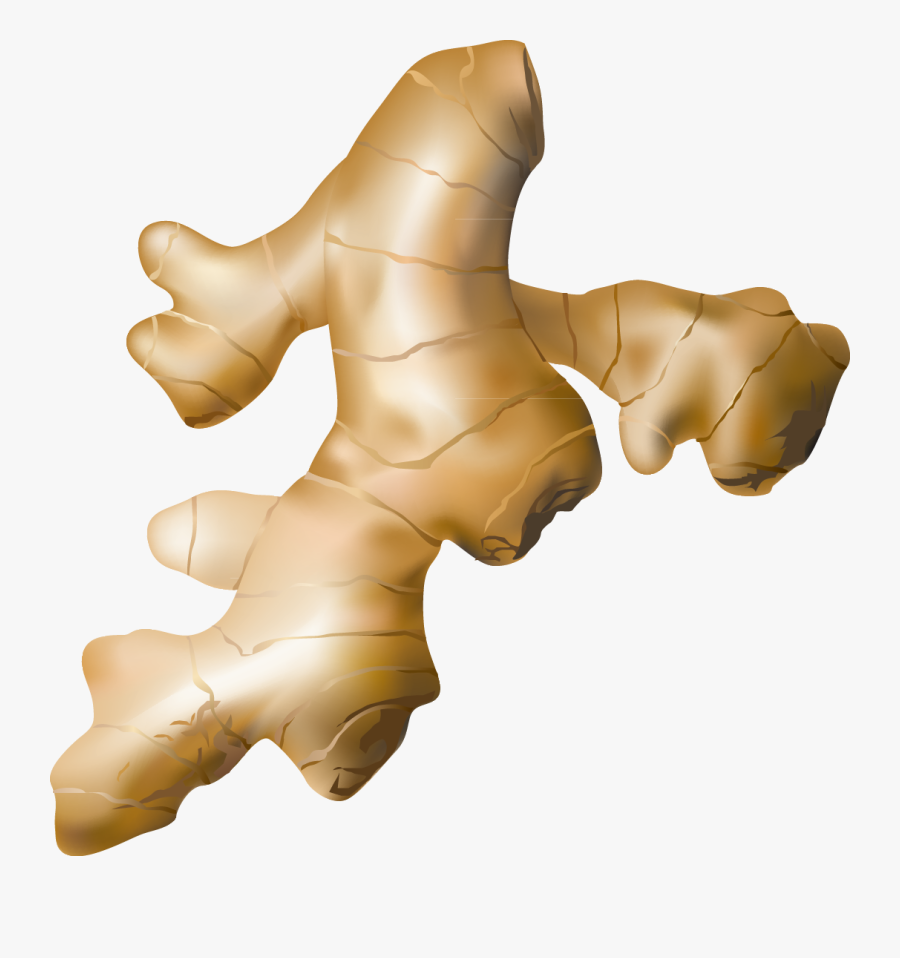 Spices Clipart Ginger - Ginger Icon Vector Png, Transparent Clipart