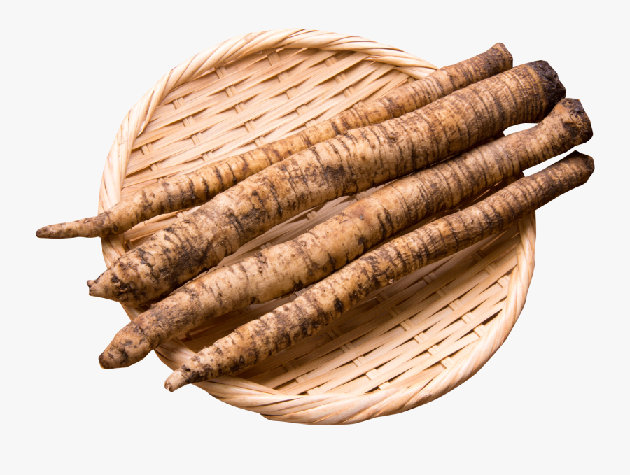 Transparent Burdock Root, Transparent Clipart
