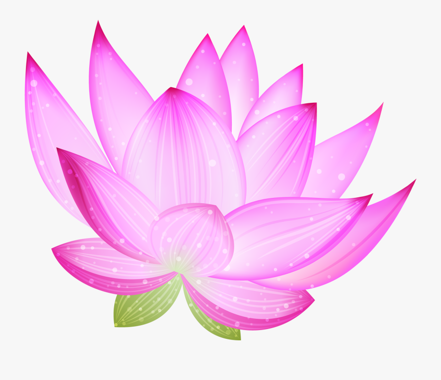 Large Pink Lotus Png Clipart - Blog, Transparent Clipart