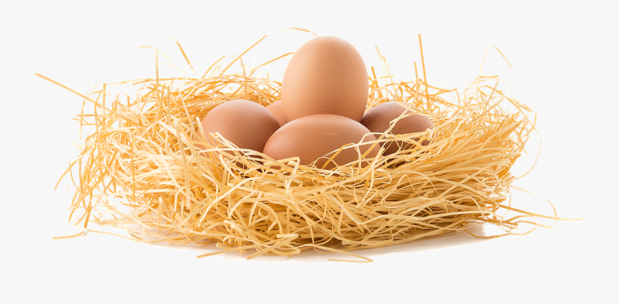 Nest Png - Eggs In Nest Png, Transparent Clipart
