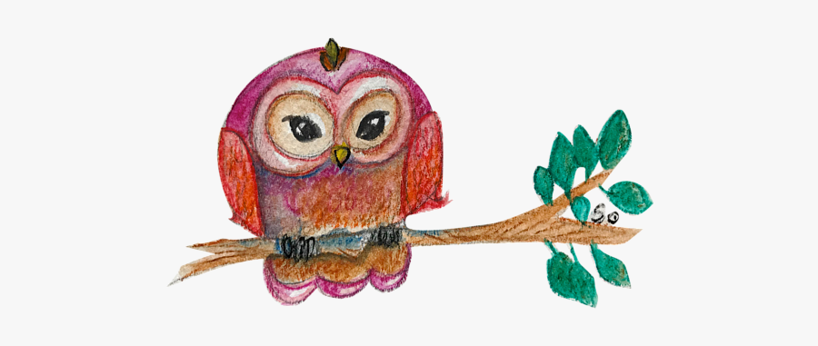 Owl, Transparent Clipart