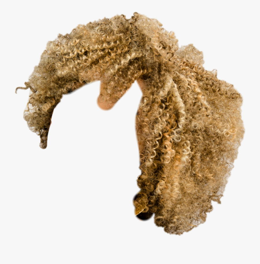 #hair #afro #woman #blonde, Transparent Clipart