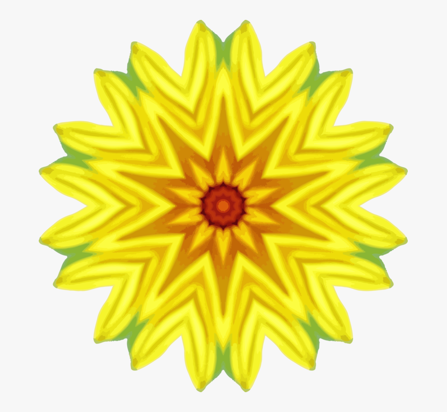 Sunflower Seed,chrysanths,flower, Transparent Clipart