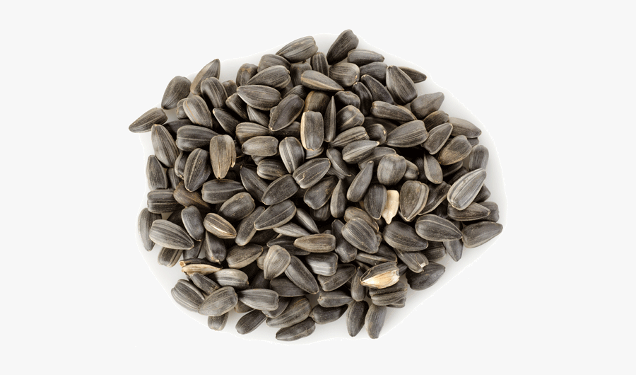 Download Sunflower Seeds Png Hd, Transparent Clipart