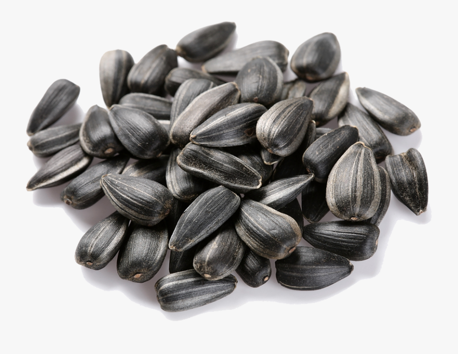 Download Sunflower Seeds Transparent, Transparent Clipart