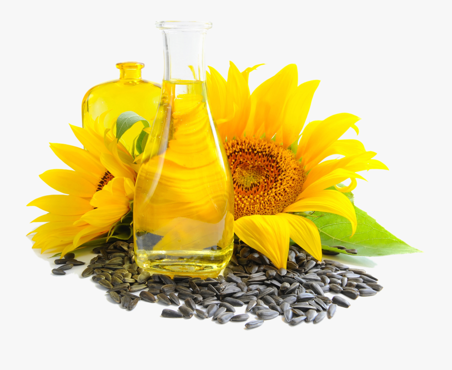 Sunflower Seed Png, Transparent Clipart