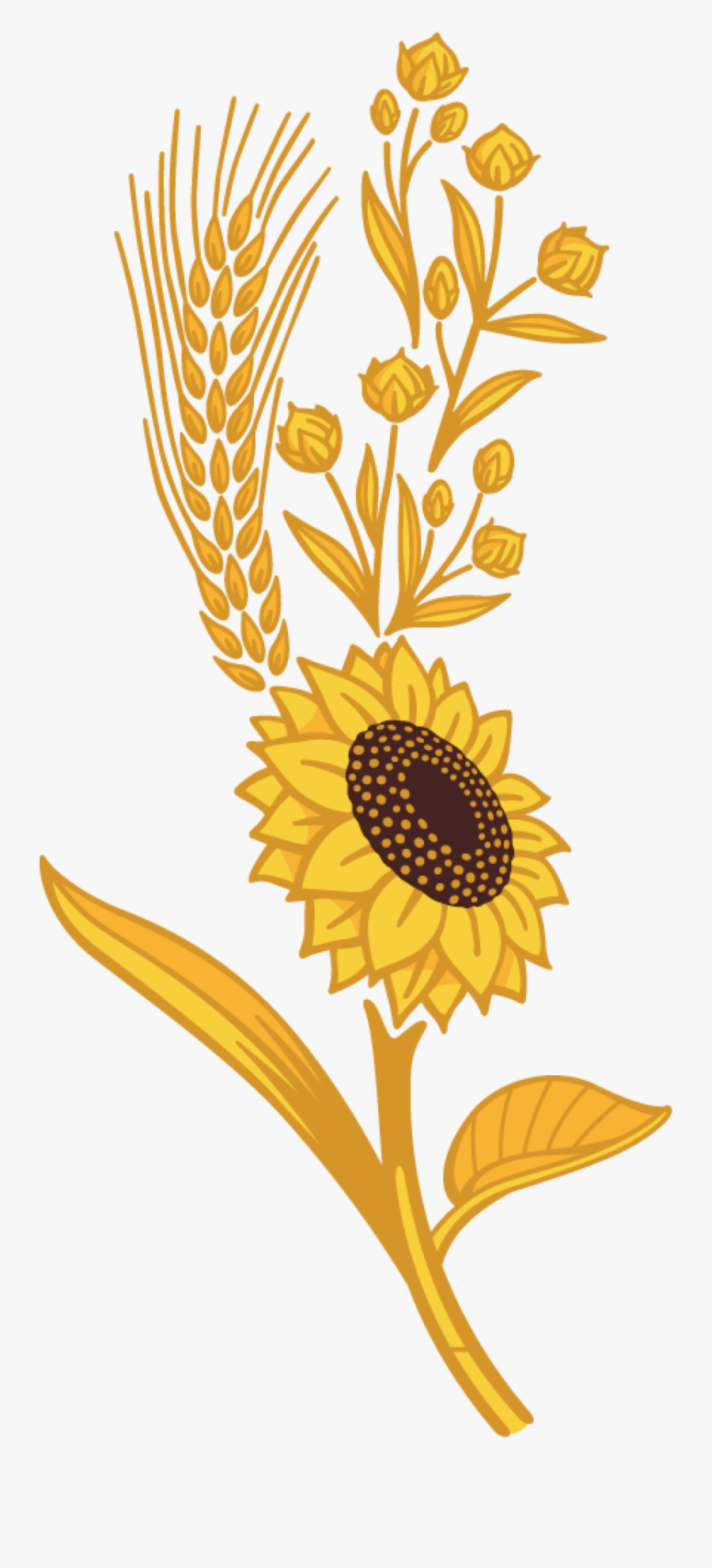 Harvest Clipart Sunflower, Transparent Clipart