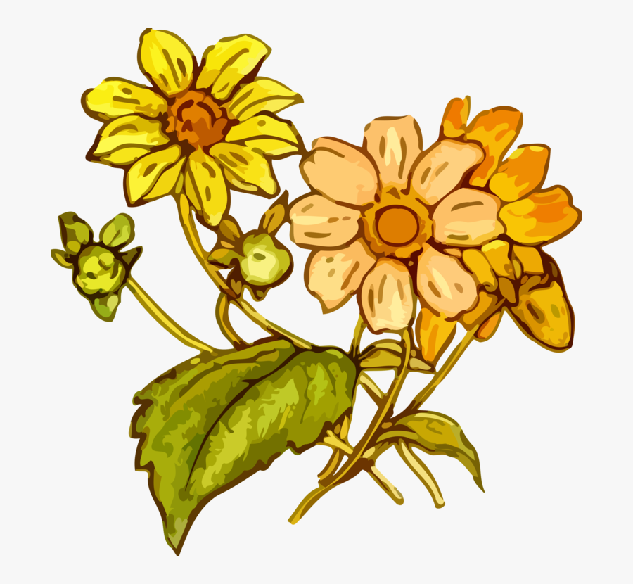 Sunflower Seed,plant,flora, Transparent Clipart
