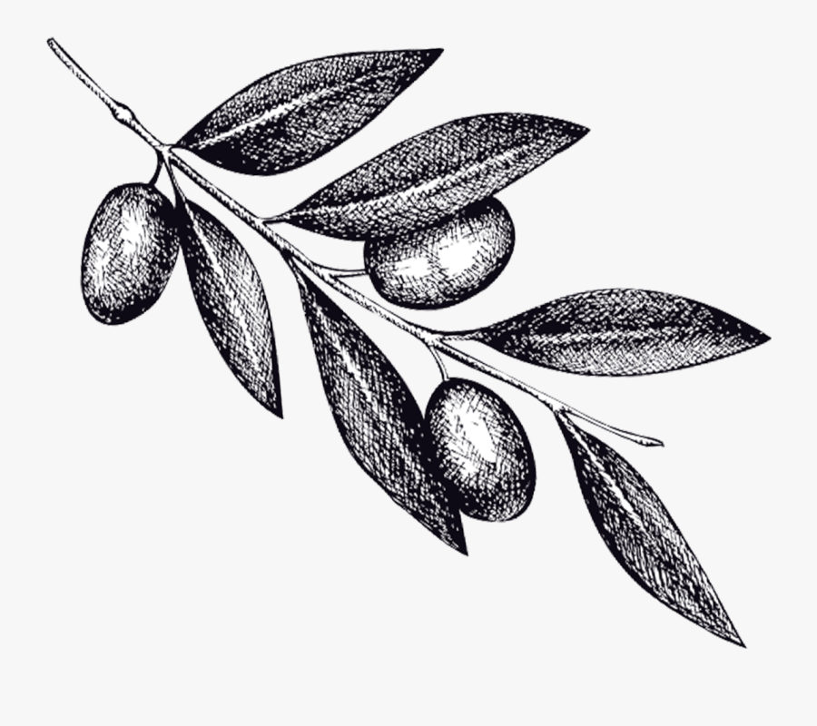 To Wash Your Face Clip Art, Transparent Clipart