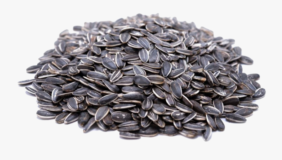 Transparent Sunflower Seeds Png, Transparent Clipart