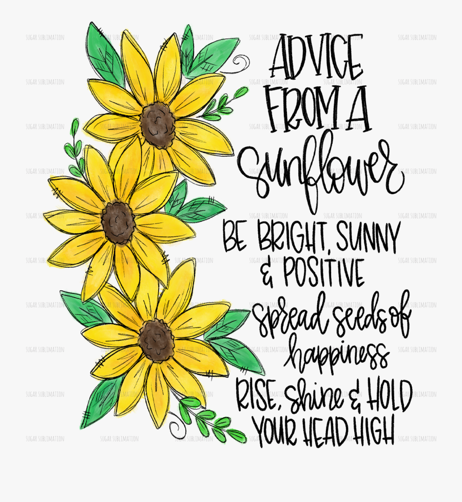 Sunflower Seed Clip Art, Transparent Clipart