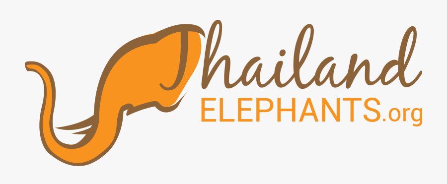 African Conservation Foundation Logo, Transparent Clipart