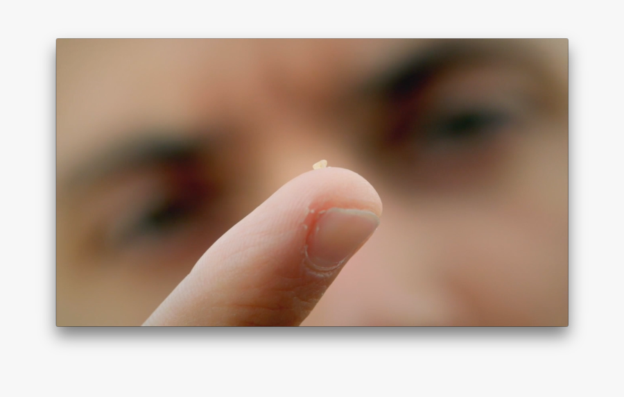 Close-up, Transparent Clipart