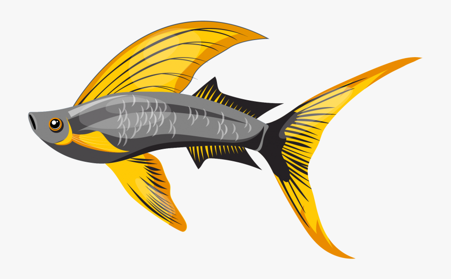 Sailfish, Transparent Clipart