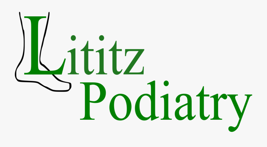 Lititz Podiatry - Albatross, Transparent Clipart