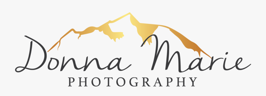 Calligraphy, Transparent Clipart