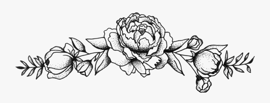 Hybrid Tea Rose, Transparent Clipart