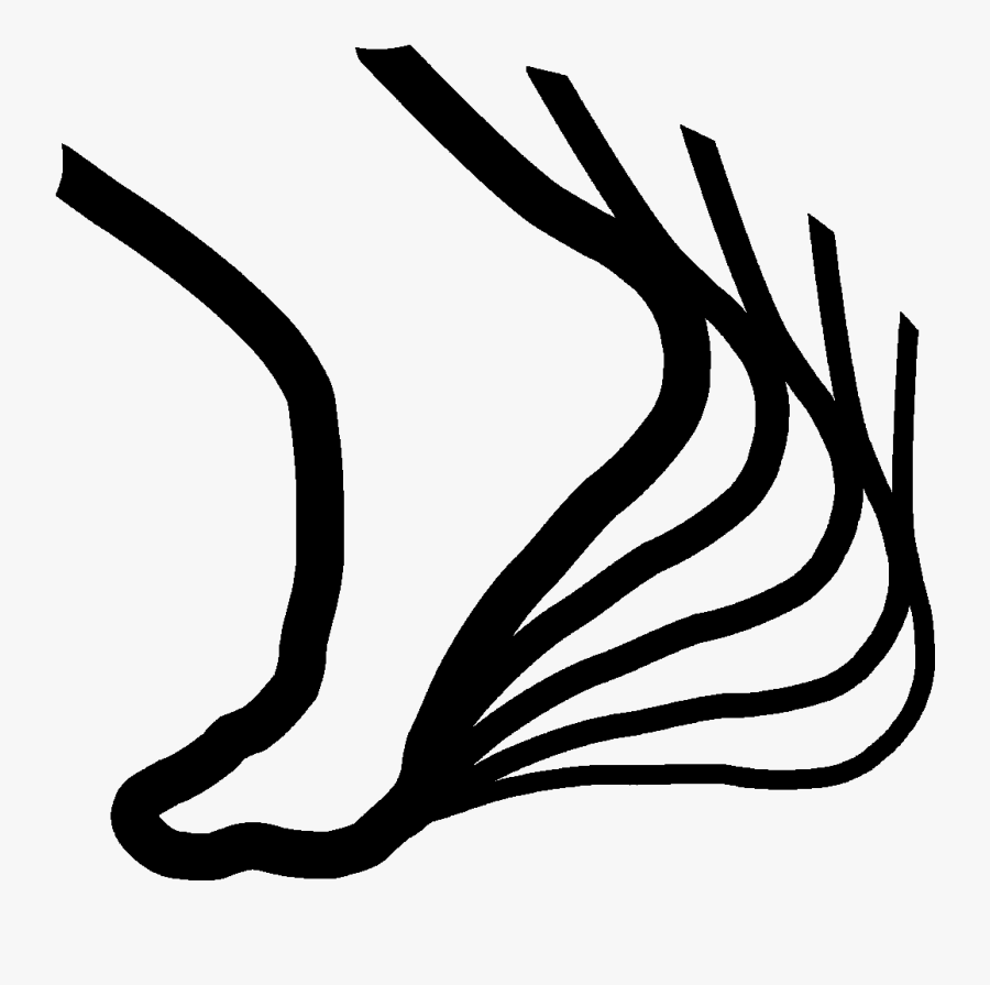 Foot, Transparent Clipart