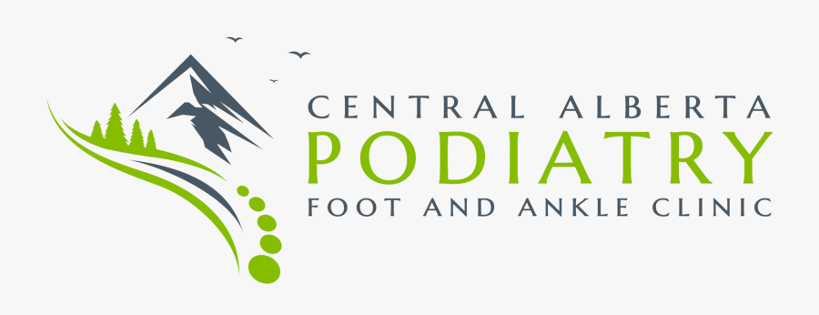 Graphic Design, Transparent Clipart