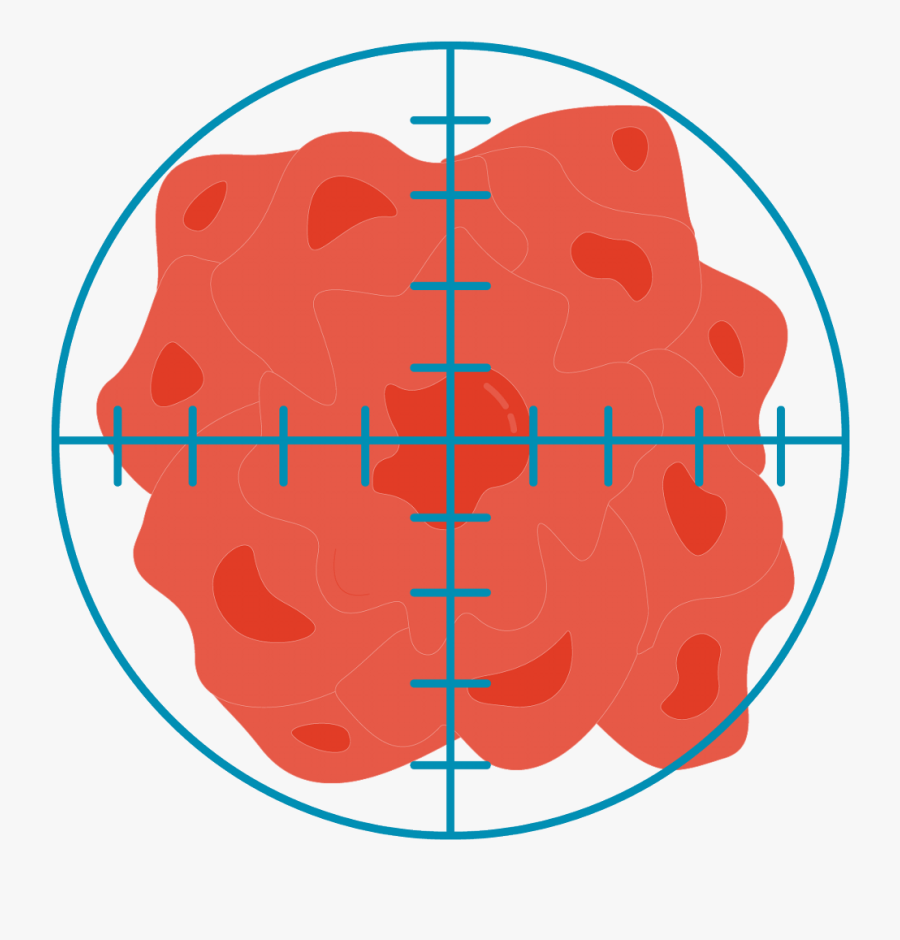 Targeted Therapies Are Designed To Neutralize Harmful - Circle, Transparent Clipart