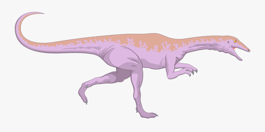 Compsognathus Dinosaur Velociraptor - Dinosaur, Transparent Clipart