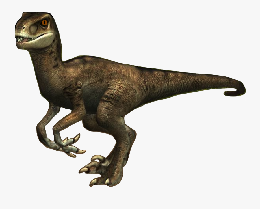 Paula The Velociraptor - Velociraptor, Transparent Clipart