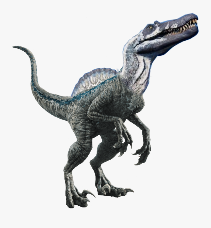 #spinosaurus #jurassicworld #velociraptor #utahraptor - Jurassic World Dinosaurs Png, Transparent Clipart