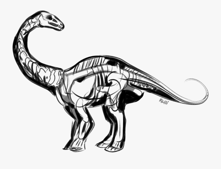 Illustration, Transparent Clipart