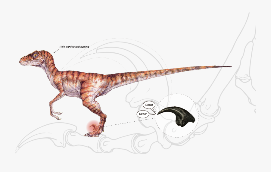 Velociraptor Jurassic Park Concept Art, Transparent Clipart