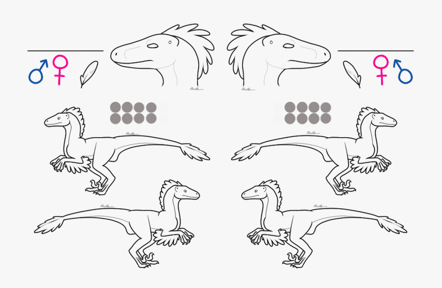 Raptor Lineart - Free To Use Raptor Base, Transparent Clipart