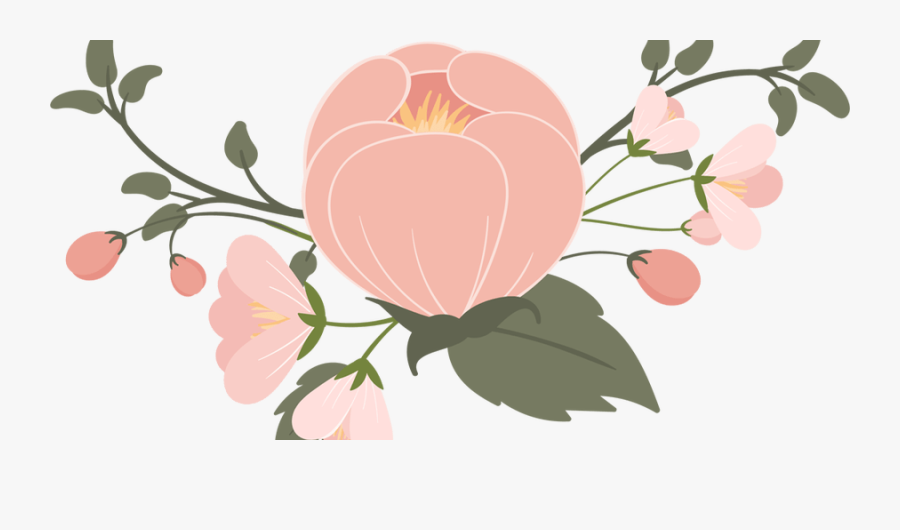 Are You A Southern - Japanese Camellia, Transparent Clipart