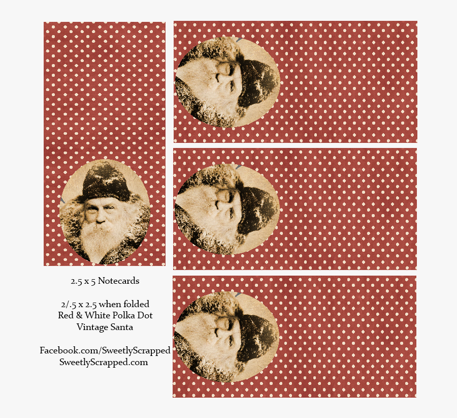 Picture - Animal, Transparent Clipart