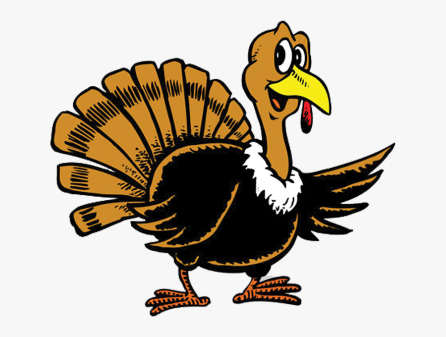Domesticated-turkey - Turkey Cartoon, Transparent Clipart