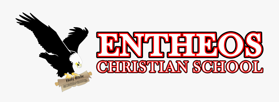 Turkey, Transparent Clipart