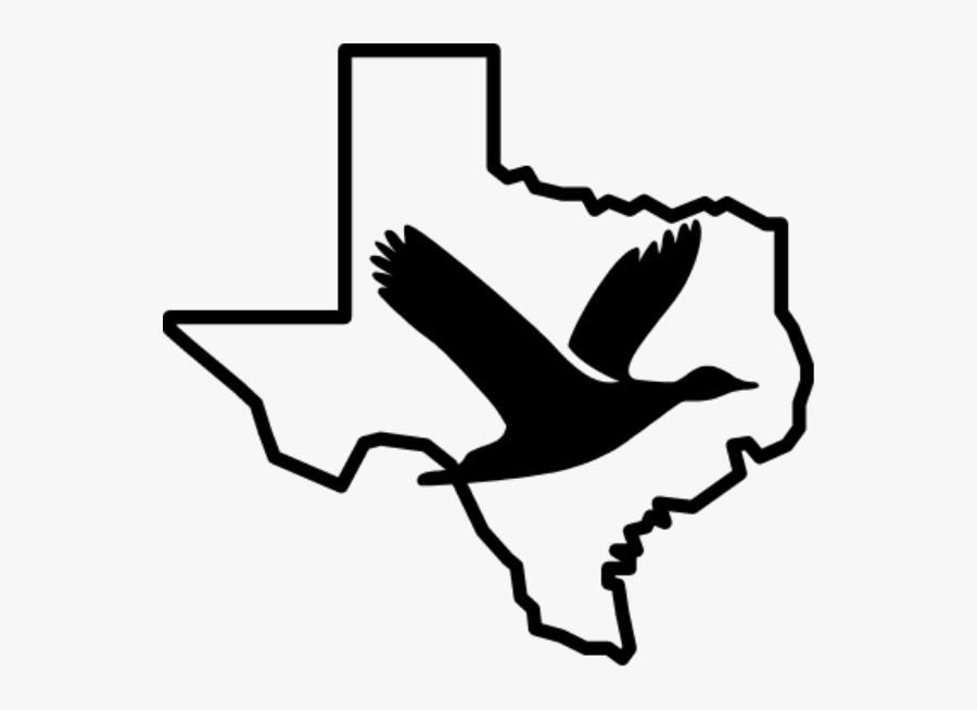 Texas, Transparent Clipart