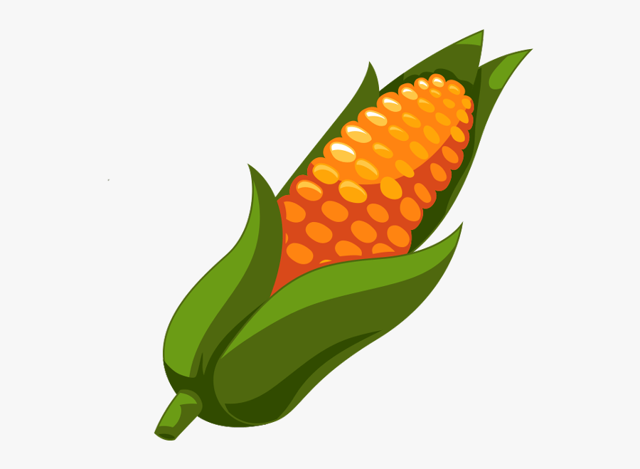 Maize, Transparent Clipart