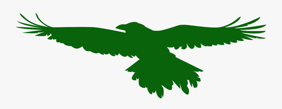 Corvo Voando Png, Transparent Clipart