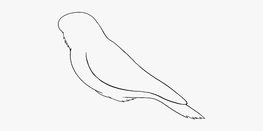How To Draw Raven - Sketch, Transparent Clipart