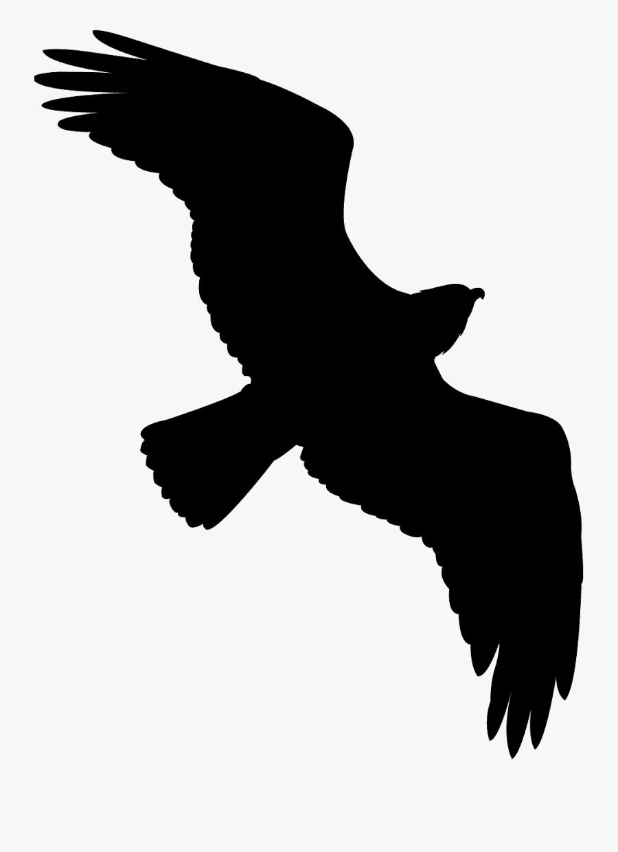 Green Bird Silhouette Flying, Transparent Clipart