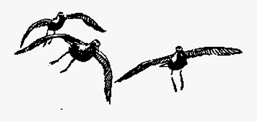 Art,monochrome Photography,monochrome - Bird, Transparent Clipart