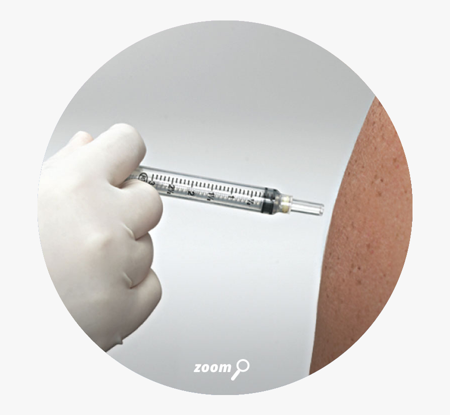 Hand, Transparent Clipart