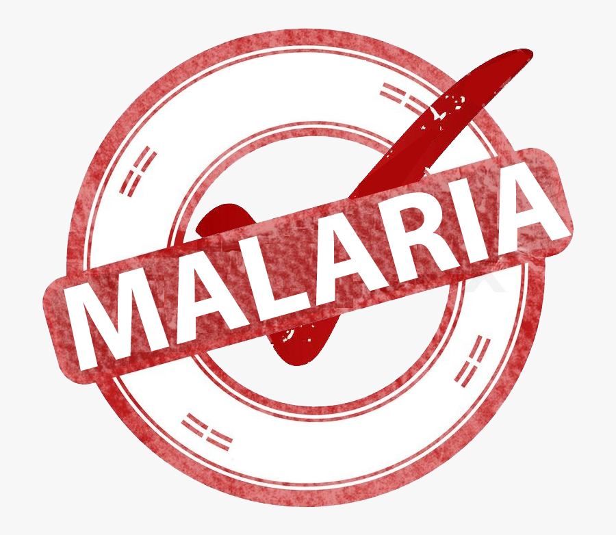 Circle, Transparent Clipart