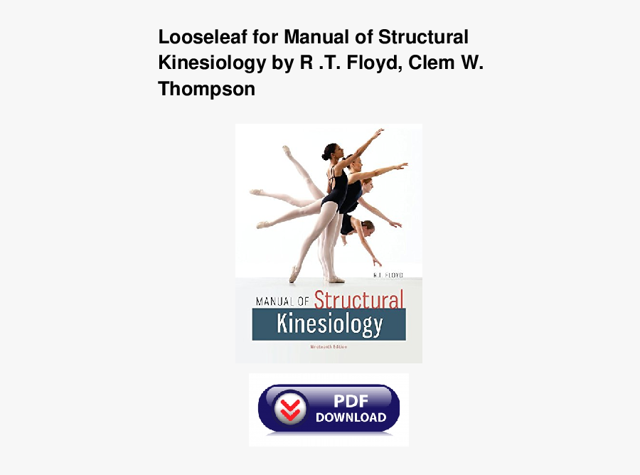 Display Advertising, Transparent Clipart