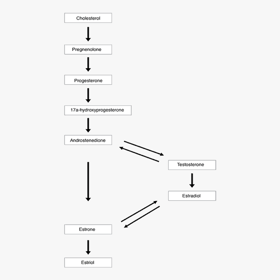 Screenshot, Transparent Clipart