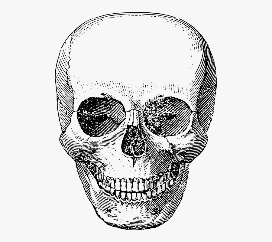 Transparent Pixel Skull Png - Skeleton Face Drawings, Transparent Clipart