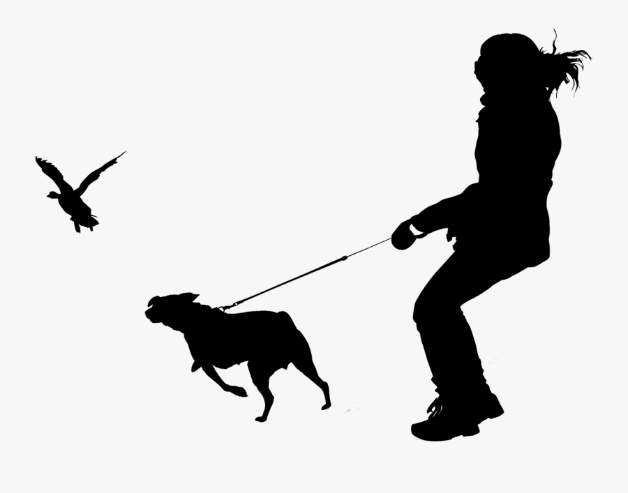 Dog Breed Human Behavior Leash - Dog Catches Something, Transparent Clipart