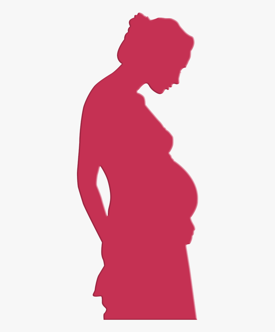 Wessex Independent Midwives Logo, Transparent Clipart