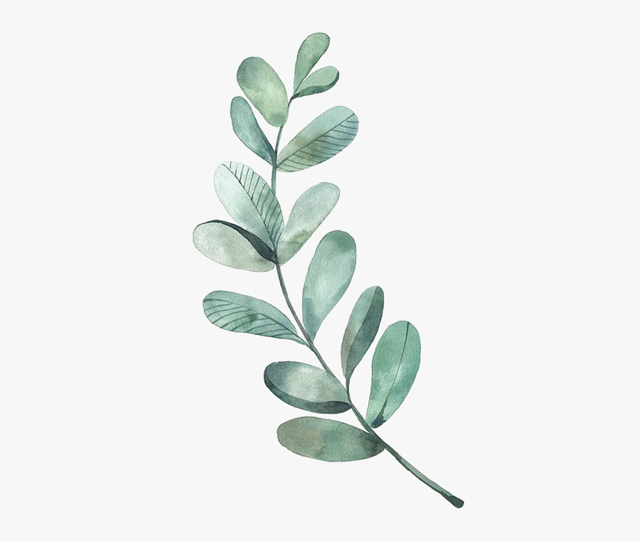 Leaves Branch Png - Watercolor Green Leaf Png, Transparent Clipart