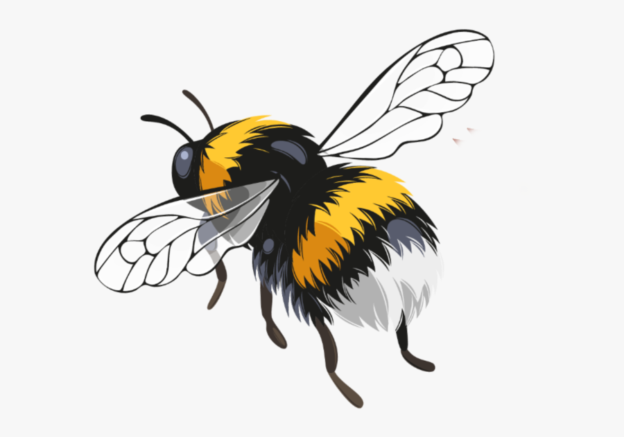 Transparent Bee Clipart, Transparent Clipart